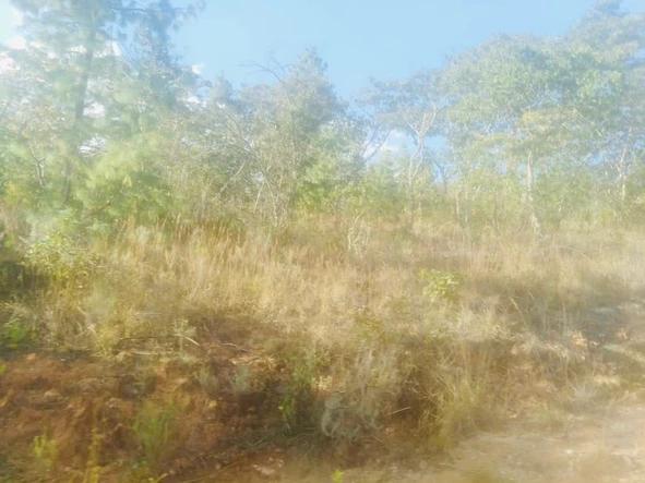 Farm & Agricultural Land