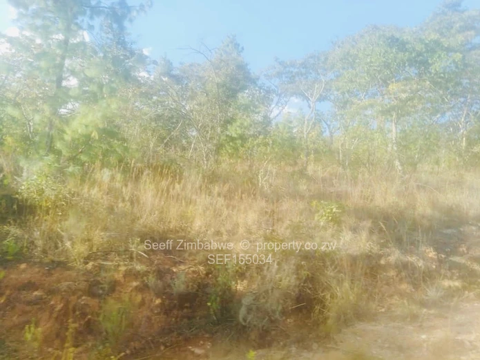 Experience The Nyanga Lifestyle, In Nature's Luxury