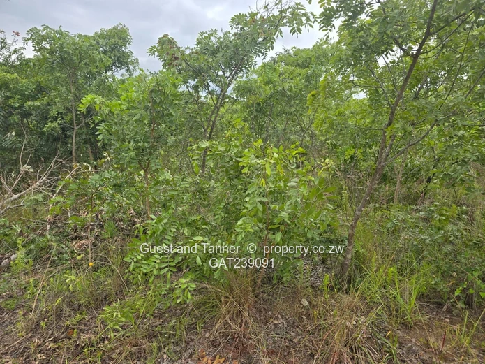 2159sqm Marondera low density residential stand for sale