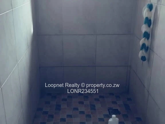 1650m² Marlborough Stand with Brick Cottage & Services