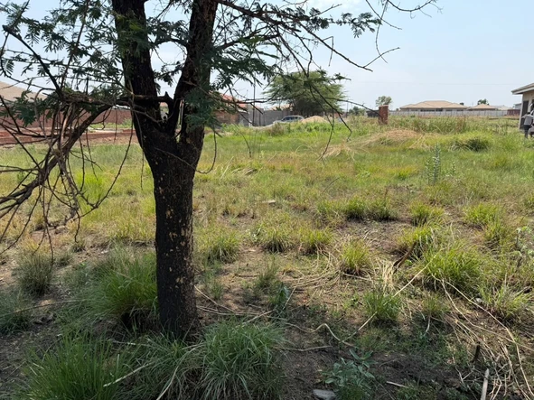 Stands & Residential Land