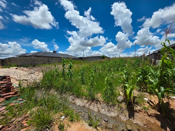 Stands & Residential Land