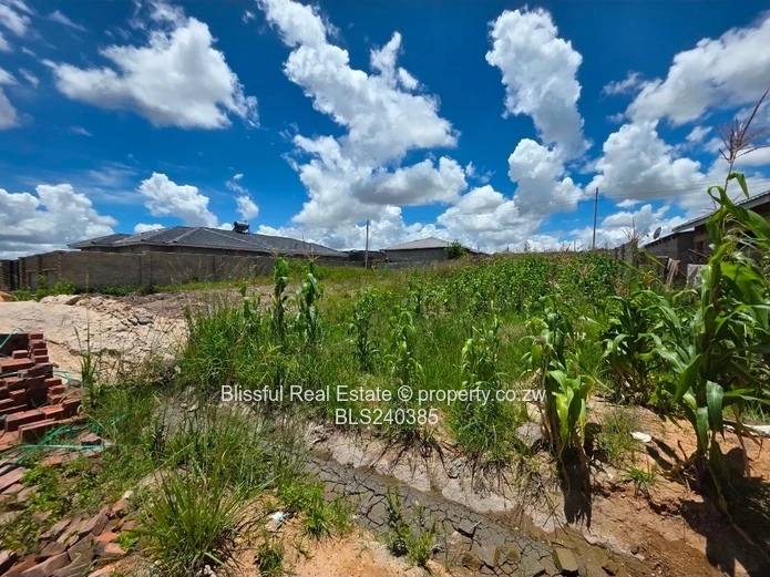 Adelaide Park stand for sale