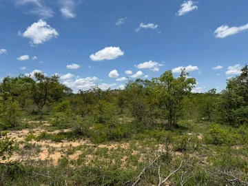 Farm & Agricultural Land