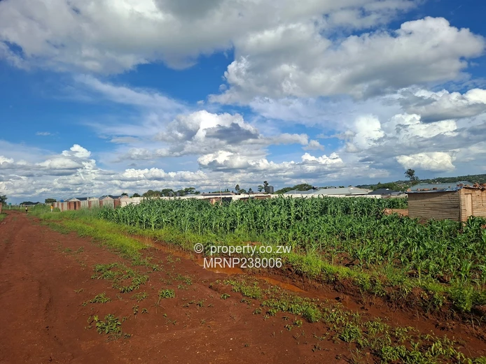 Crowhill Sawara Hills stand with slab for sale (Sole Mandate)