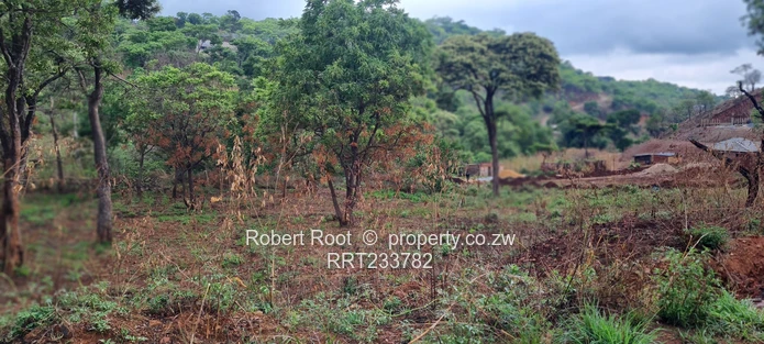 Build your dream home!