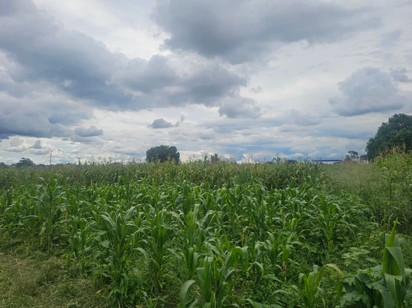 Commercial & Industrial Land