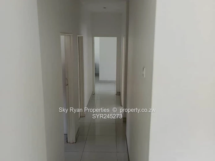 Borrowdale Quinnington Stand For Sale 