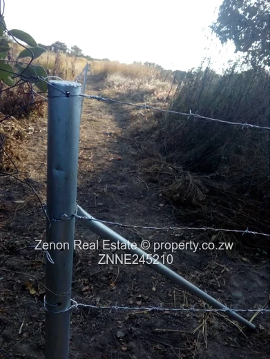 Norton plot for sale