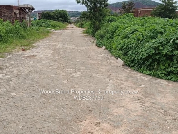 Cold Comfort Duplex Stands- Pleasant Valley drive