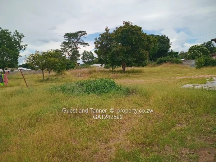 Chadcombe Gem for Sale!