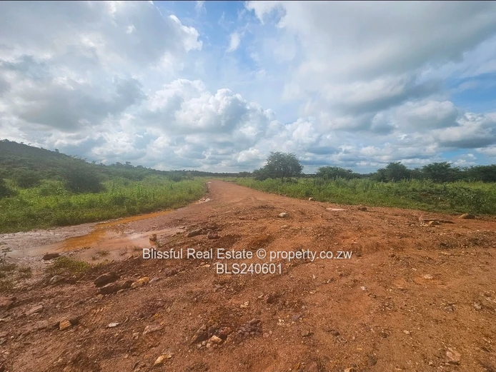 Stands for sale in Doornfontein 