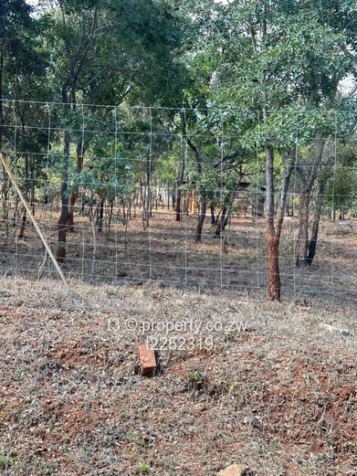 Fenced 4,520 m2 Gletwin Park Stand - Tarred Road
