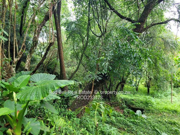 Holiday home with stunning views of the mountains