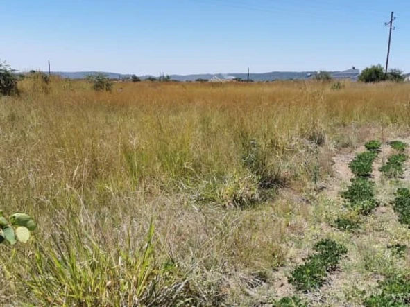 Stands & Residential Land