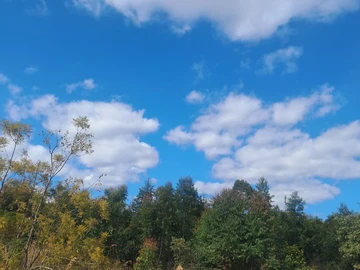Commercial & Industrial Land