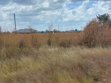 Stands & Residential Land