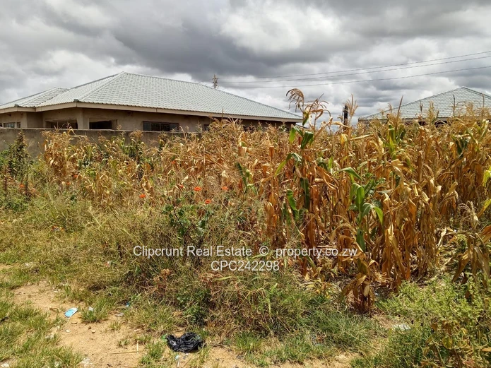 Fidelity Southview Park Stand