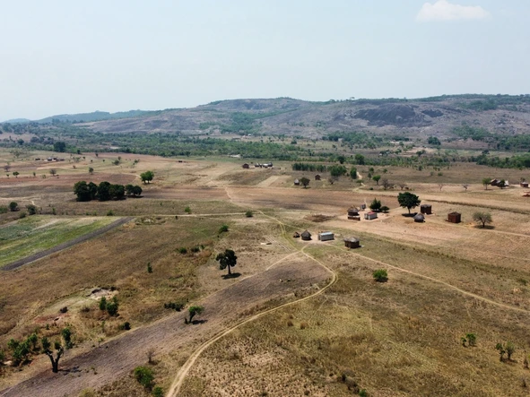 Farm & Agricultural Land