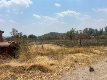 Farm & Agricultural Land