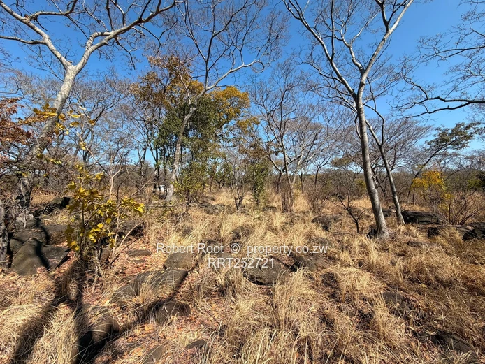 1.56ha at Darwendale with Lake View