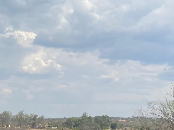 Commercial & Industrial Land