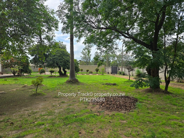 Stone throw away from cnr airport rd and st patricks