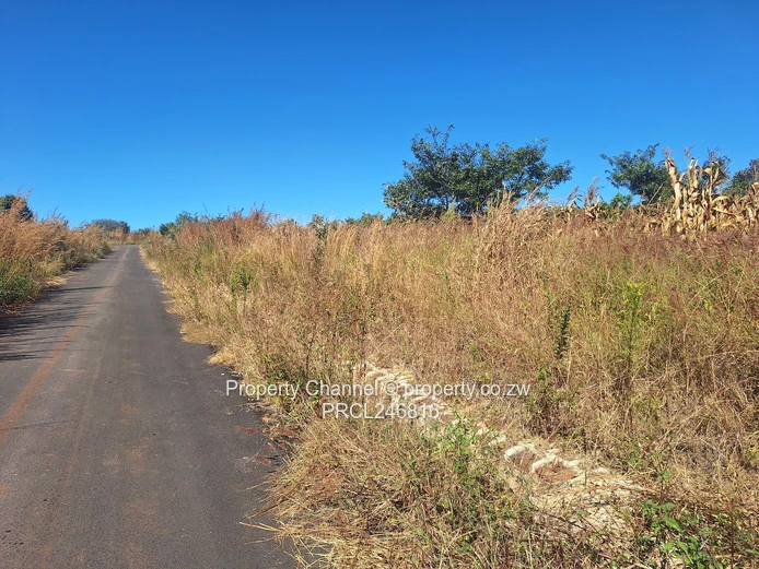 Your Dream Home Starts Here . . .