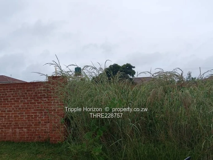 Investment opportunity 