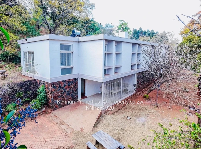 4 Bedroom house in Greystone Park with exceptional design potential.