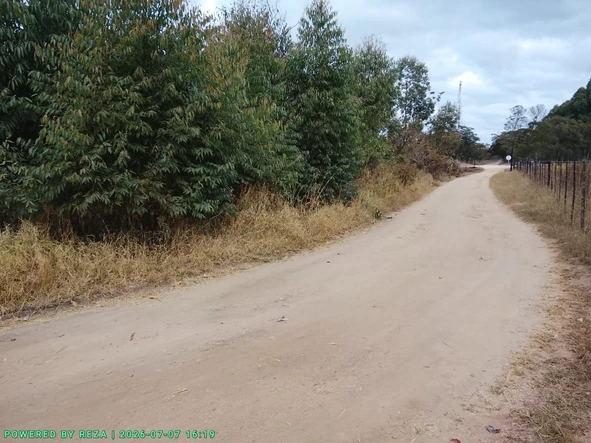 Commercial & Industrial Land