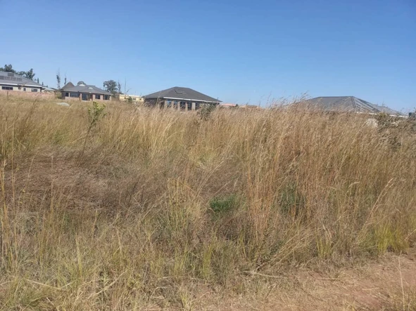 Stands & Residential Land