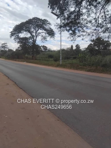 Prime Commercial Stand For Sale