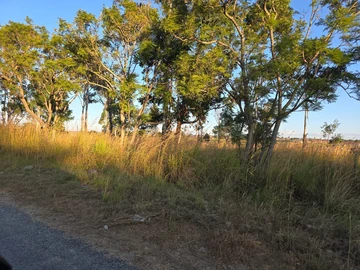 Commercial & Industrial Land