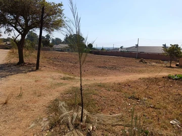 Stands & Residential Land