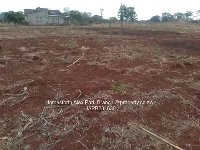 Banket Low Density Stand On Sale