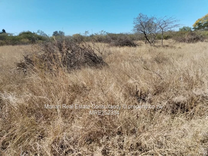 Douglasdale Stand For Sale