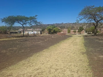 Stands & Residential Land