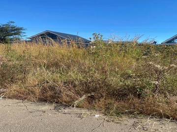 Stands & Residential Land