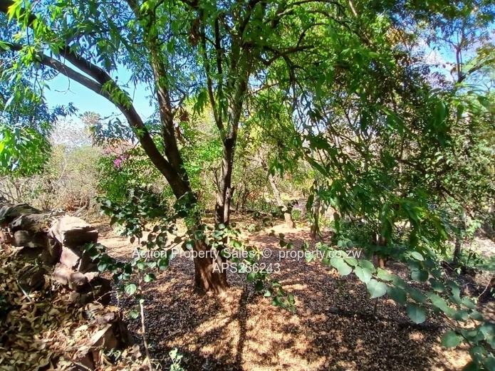 6936 Square Meters Of Land! 