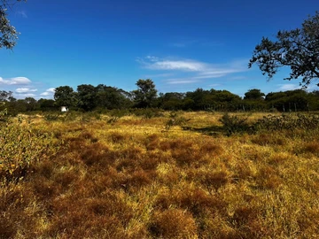 Farm & Agricultural Land