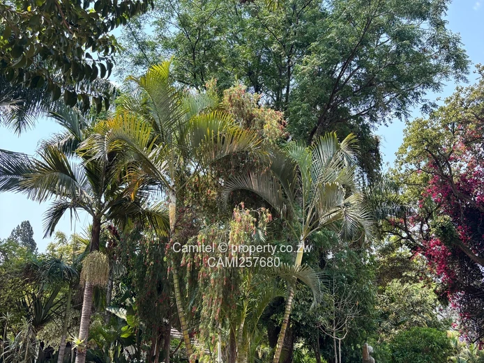 Newlands exceptional, versatile property