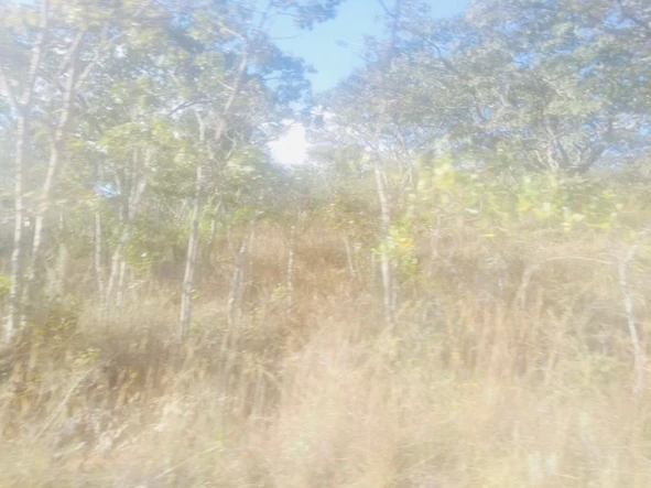 Farm & Agricultural Land