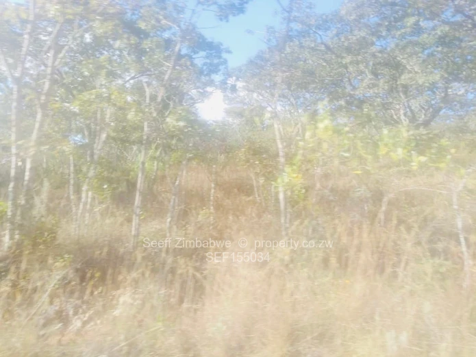 Experience The Nyanga Lifestyle, In Nature's Luxury