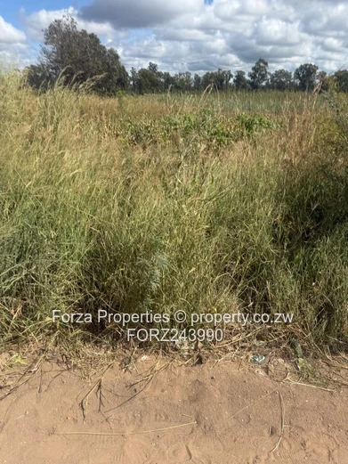 Prime 3.5 Hectare Investment in an Economic Special Zone