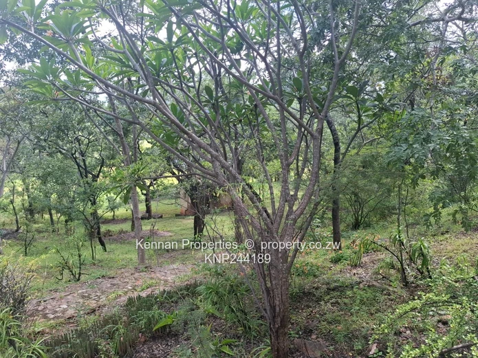 Lifestyle In Close Proximity To Nature!