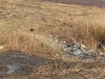 Commercial & Industrial Land