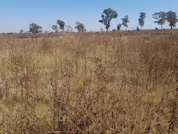 Stands & Residential Land
