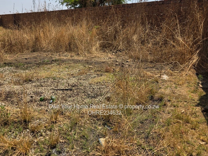 Sandton Commercial Rental (Sole Mandate)