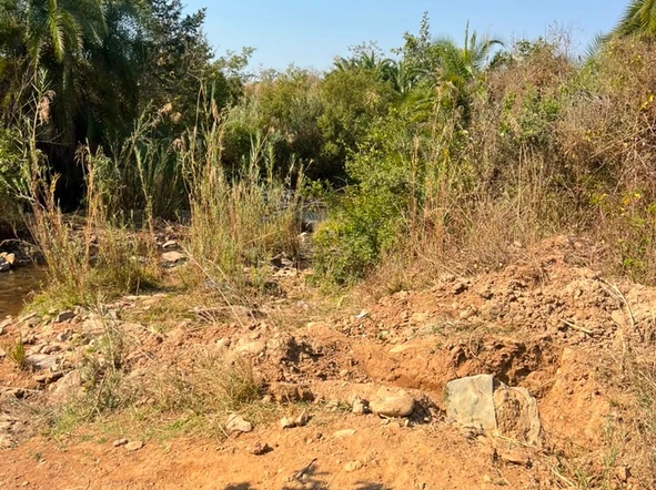 Farm & Agricultural Land